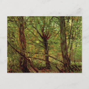 Trees en Undergrowth door Vincent van Gogh Briefkaart