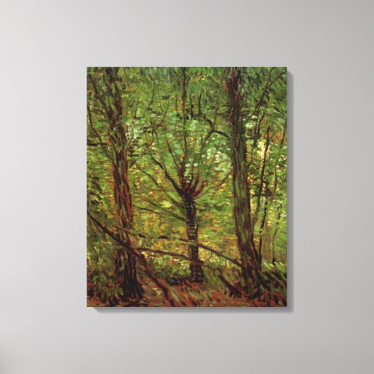 Trees en Undergrowth door Vincent van Gogh Canvas Afdruk (Voorkant)