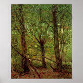 Trees en Undergrowth door Vincent van Gogh Poster (Voorkant)