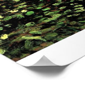 Trees en Undergrowth door Vincent van Gogh Poster (Hoek)