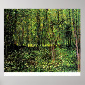 Trees en Undergrowth door Vincent van Gogh Poster (Voorkant)