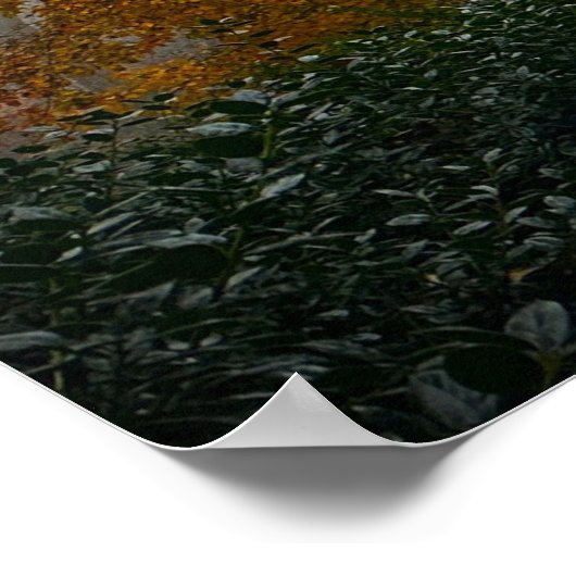 Trees & Fog, Poster (Hoek)