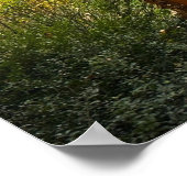 Trees & Fog, Poster (Hoek)