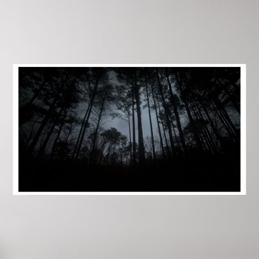 Trees & Fog, Poster (Voorkant)