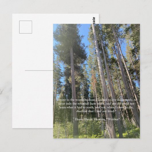 Trees Forest Bossen Thoreau Kaart (Voorkant / Achterkant)