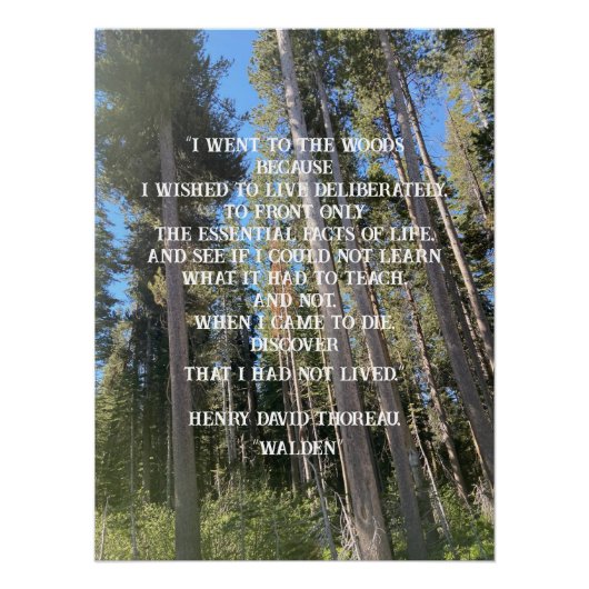 Trees Forest Bossen Thoreau Perfect Poster (Voorkant)