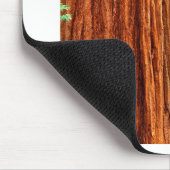 Trees Giant Sequoia Mariposa Grove Yosemite Muismat (Hoek)