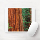 Trees Giant Sequoia Mariposa Grove Yosemite Muismat (Met muis)