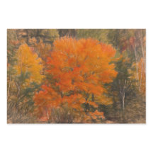 Trees Herfst Woodland Forest Oranje Sketch Art
