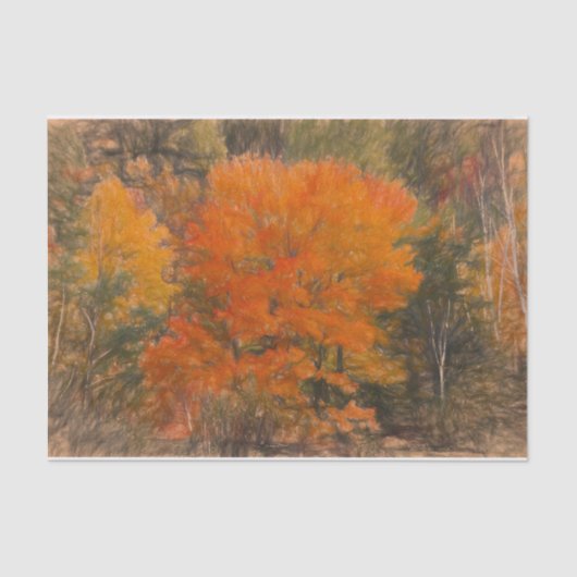 Trees Herfst Woodland Forest Oranje Sketch Art Tissuepapier (Voorkant)