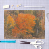 Trees Herfst Woodland Forest Oranje Sketch Art Tissuepapier (Craft)