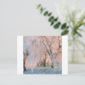 Trees Ice bedekt Willow Briefkaart (Staand voorkant)