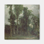 Trees in Hampstead Magneet (Voorkant)