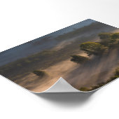 Trees in the morning mis poster (Hoek)