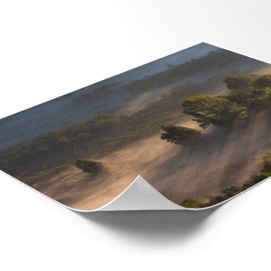 Trees in the morning mis poster (Hoek)