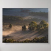 Trees in the morning mis poster (Voorkant)