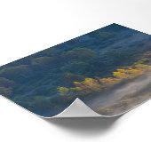 Trees in the morning mist poster (Hoek)