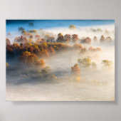 Trees in the morning mist poster (Voorkant)
