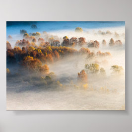 Trees in the morning mist poster