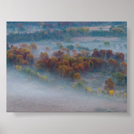 Trees in the morning mist poster