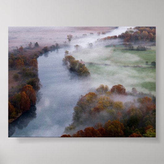 Trees in the morning mist poster (Voorkant)