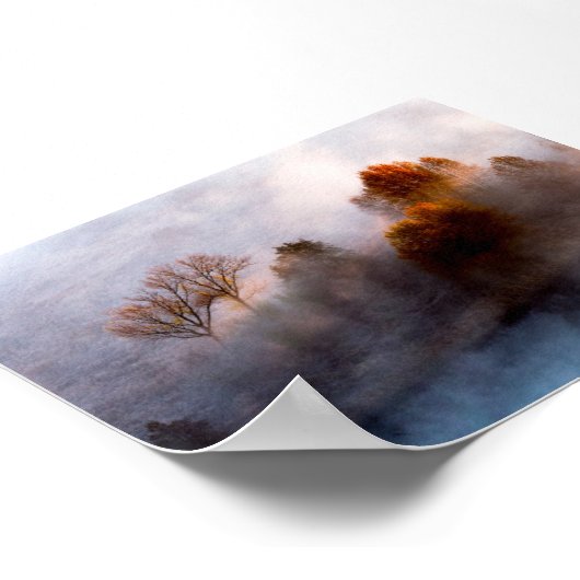 Trees in the morning mist poster (Hoek)