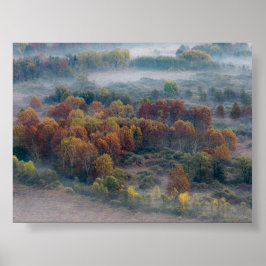 Trees in the morning mist poster