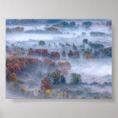 Trees in the morning mist poster (Voorkant)