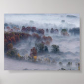 Trees in the morning mist poster (Voorkant)