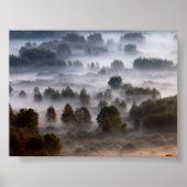 Trees in the morning mist poster (Voorkant)