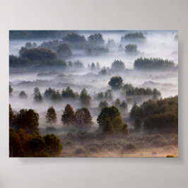 Trees in the morning mist poster