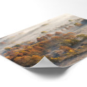 Trees in the morning mist poster (Hoek)