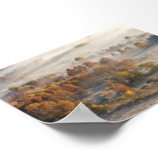 Trees in the morning mist poster (Hoek)