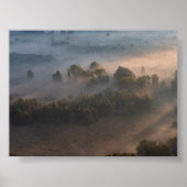 Trees in the morning mist poster (Voorkant)