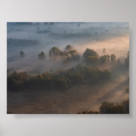 Trees in the morning mist poster (Voorkant)