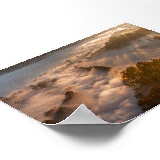 Trees in the morning mist poster (Hoek)