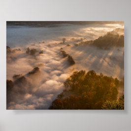 Trees in the morning mist poster
