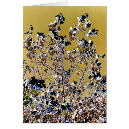 TREES KAART (Voorkant)