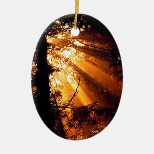 Trees Mystic Sunbeams Olympisch Keramisch Ornament (Voorkant)