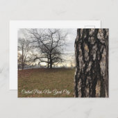 Trees New York NYC Sunrise Central Park Skyline Briefkaart (Voorkant / Achterkant)