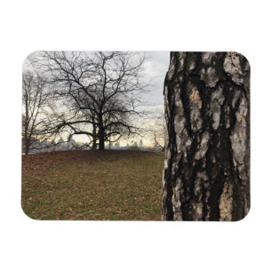 Trees New York NYC Sunrise Central Park Skyline Magneet