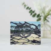 Trees op Jekyll Briefkaart (Staand voorkant)