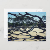 Trees op Jekyll Briefkaart (Voorkant / Achterkant)