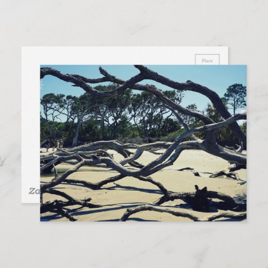 Trees op Jekyll Briefkaart (Voorkant / Achterkant)