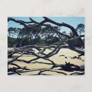 Trees op Jekyll Briefkaart