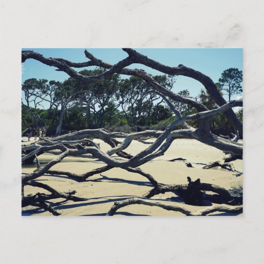 Trees op Jekyll Briefkaart (Voorkant)