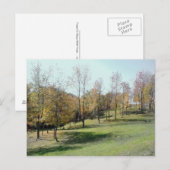 Trees op slope 2004 Photo Post Card Briefkaart (Voorkant / Achterkant)