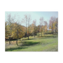 Trees op slope 2004 Photo Post Card