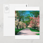 Trees Roze White Dogwood Lexington Kentucky Briefkaart (Voorkant / Achterkant)
