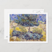 Trees Shrubs Asilum Garden Vincent Van Gogh Briefkaart (Voorkant / Achterkant)